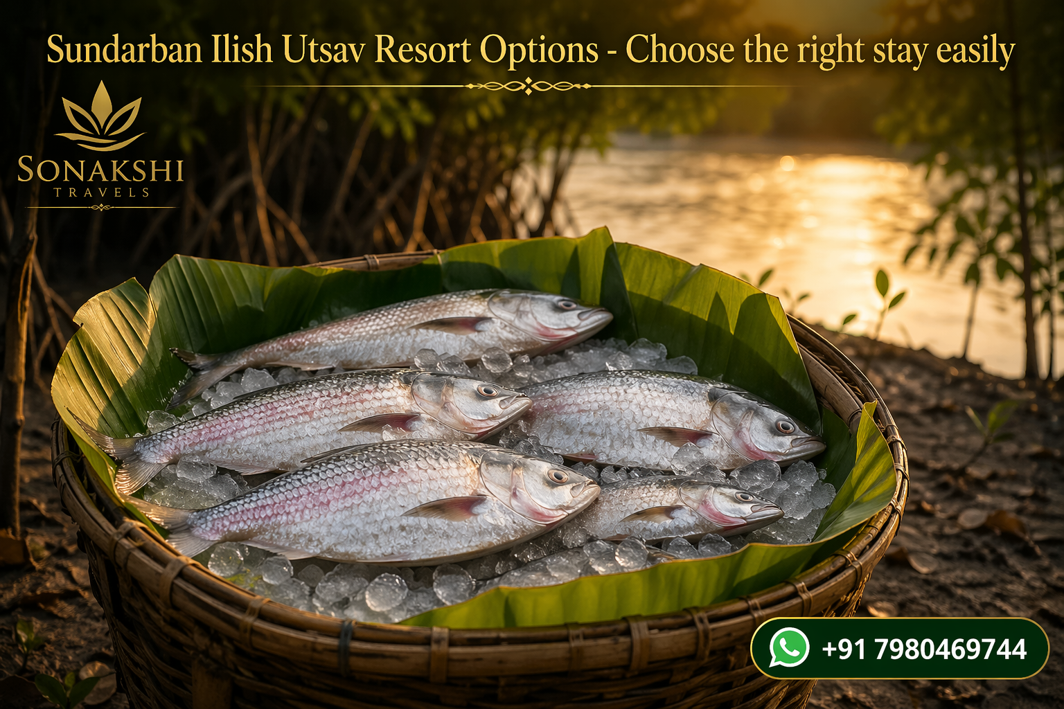 Sundarban Ilish Utsav Resort Options - Choose the right stay easily