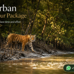 Sundarban Luxury Tour Package Smart Booking - Save time and effort